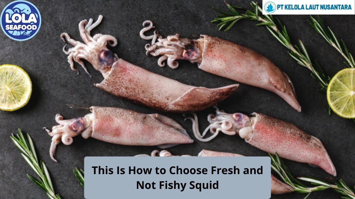 This Is How to Choose Fresh and Not Fishy Squid